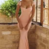 Antonella Peach Mesh Silhouette Maxi Kjoler