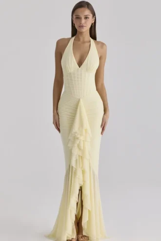 Carmine Lemon Mesh Silhouette Maxi-kjoler