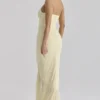 Carmine Lemon Mesh Silhouette Maxi-kjoler