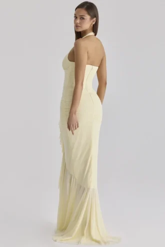 Carmine Lemon Mesh Silhouette Maxi-kjoler