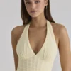 Carmine Lemon Mesh Silhouette Maxi-kjoler