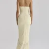 Carmine Lemon Mesh Silhouette Maxi-kjoler