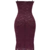 Melina Mulberry Lace Midi-kjoler