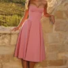 Samaria Raspberry Cotton Twill Korsetter Midi Kjoler