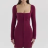 Selene Berry Bodycon minikjole